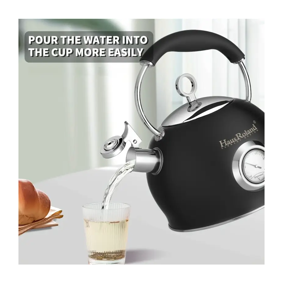 Haus Roland 3L Stainless Steel Tea Kettle